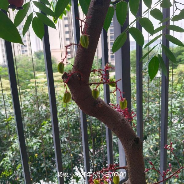 去芜存菁是什么意思_如何做到去芜存菁