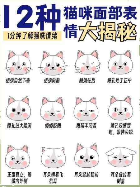 动物怎么表达情感_动物情绪表达方式