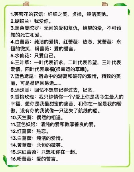 不同花的花语代表什么_如何用花语表达情感
