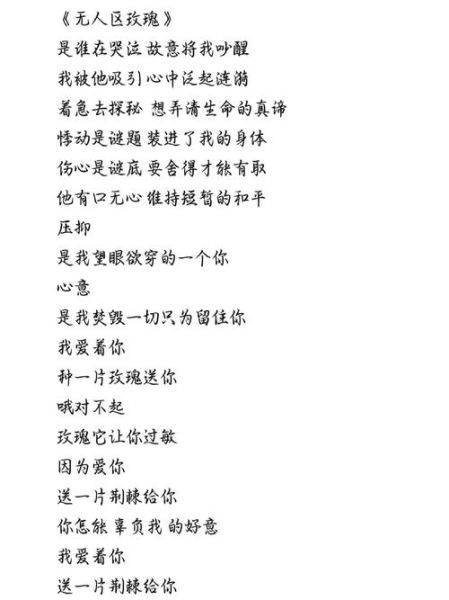 情感的禁区表达了什么_歌词深层含义解析