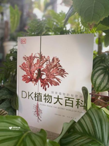 植物百科知识读书感悟_如何提升园艺水平