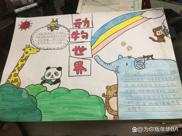 动物小百科读书小报怎么做_动物知识手抄报内容有哪些