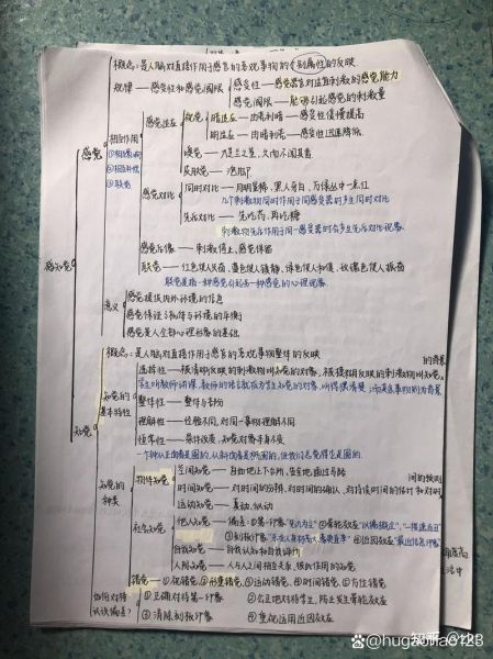 心理学分哪几种_心理学分支有哪些