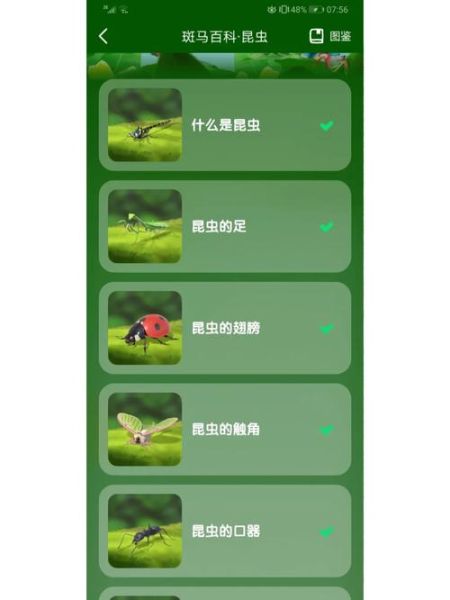 4-6岁幼儿读什么斑马百科_斑马百科适合几岁孩子