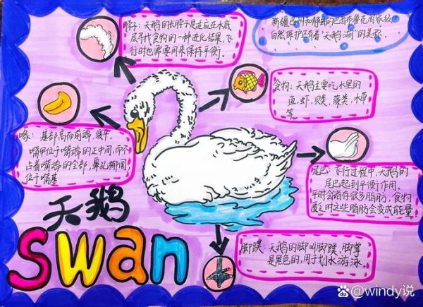 动物百科适合几岁孩子阅读_如何挑选动物百科 动物百科适合几岁孩子阅读_如何挑选动物百科