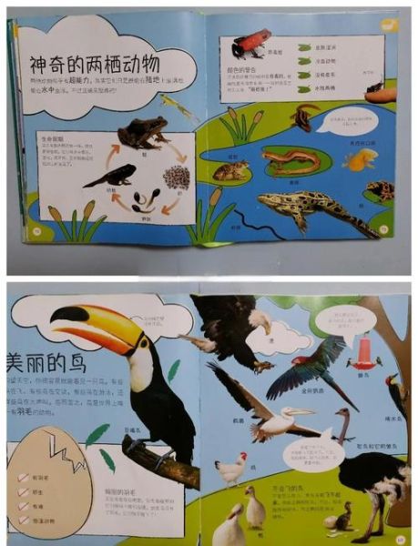 科学百科全书适合几岁孩子_如何高效使用 科学百科全书适合几岁孩子_如何高效使用