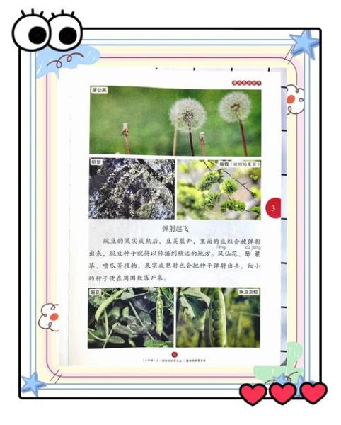 请给我播放读书百科_读书百科怎么听