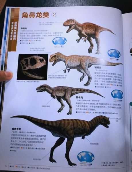 恐龙大百科适合几岁阅读_恐龙大百科和DK恐龙百科区别