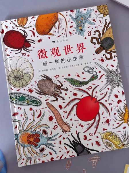 微观世界大百科适合几岁孩子_如何选版本