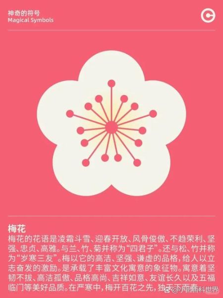 梅花代表什么情感_梅花象征什么精神