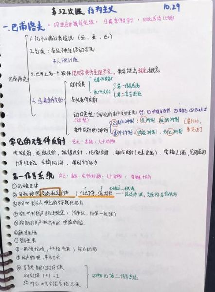 如何通过行为主义心理学提升用户点击率_行为主义心理学在SEO中的实际应用