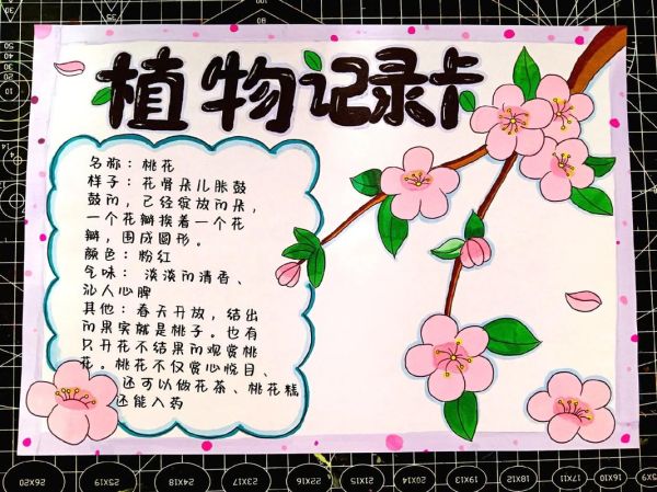 植物百科全书读书卡怎么写_适合小学生的植物读书卡模板