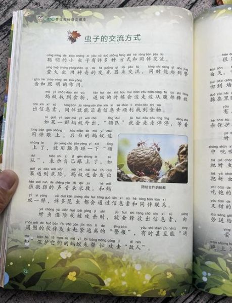 孩子课外阅读书籍怎么选_有哪些适合小学生