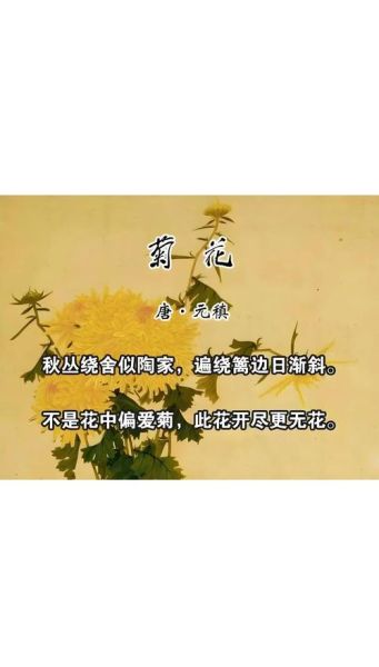 元稹的爱情诗为何感人_如何读懂元稹的情感密码