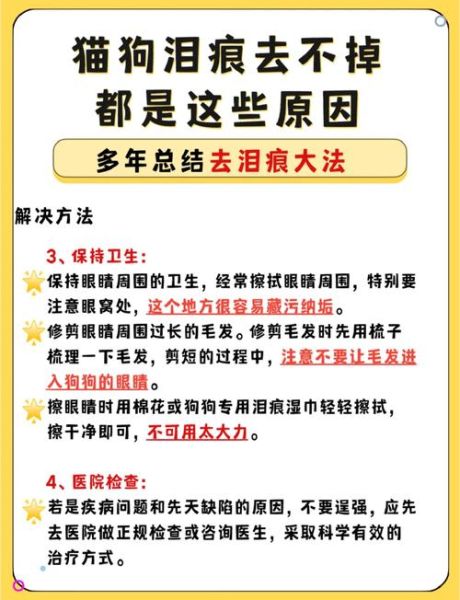 泪痕怎么消除_泪痕重是什么原因