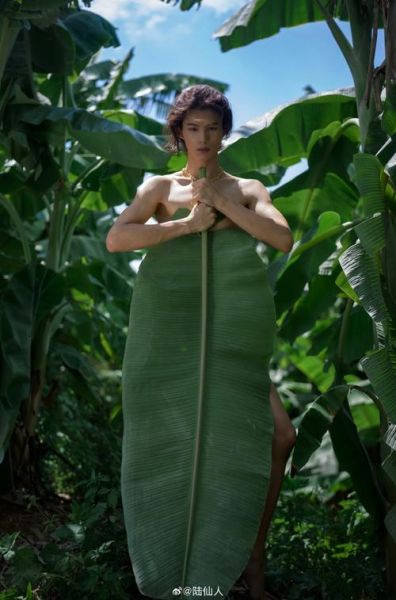 野人怎么表达情感_野人情感表达方式