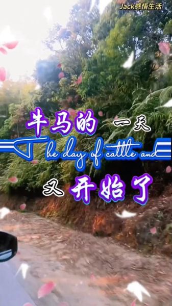 牛马歌曲表达什么情感_牛马歌词深层含义