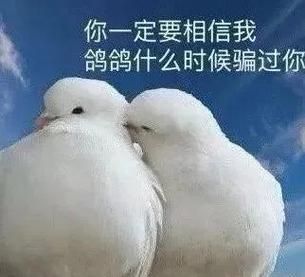 专属天使表达情感_如何打动对方