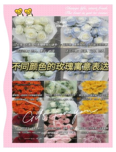 玫瑰花语有哪些含义_不同颜色玫瑰代表什么