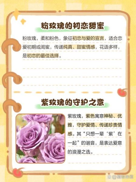 玫瑰花语有哪些含义_不同颜色玫瑰代表什么