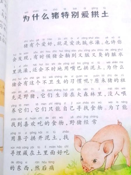 中国少年百科全书适合几岁读_如何高效阅读