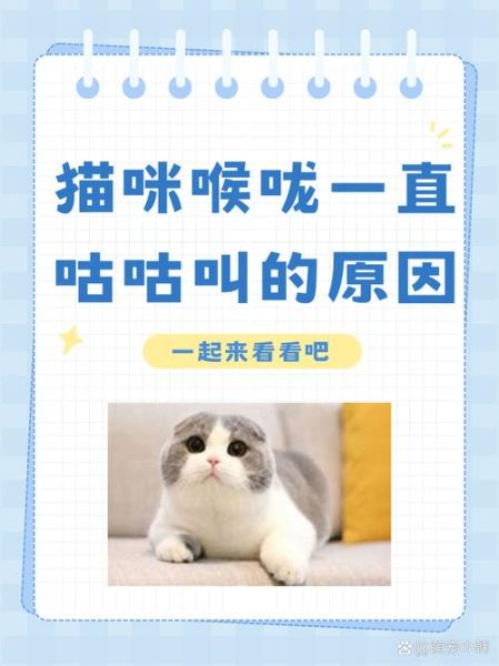 为什么猫咪会发出咕噜声_如何区分咕噜与呜咽