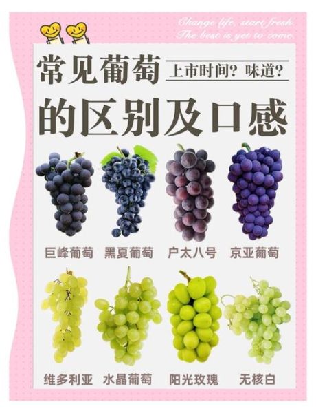 葡萄代表什么情感_葡萄花语象征什么