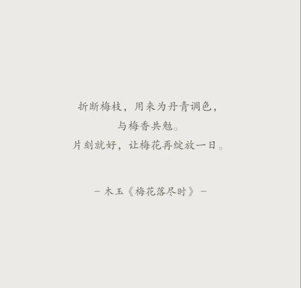 梅花落表达什么情感_梅花落为何让人落泪