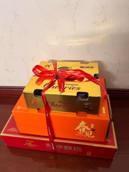 回乡过年带什么礼物_如何缓解思乡情绪