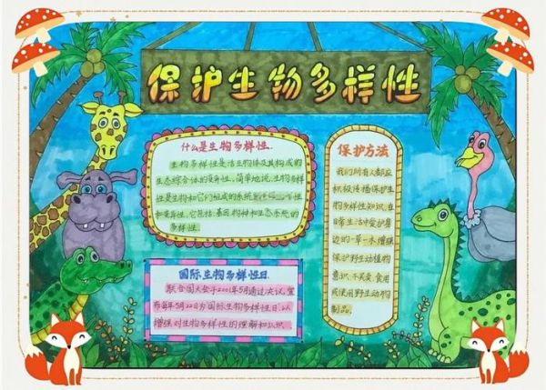 什么是生物多样性_如何保护生物多样性