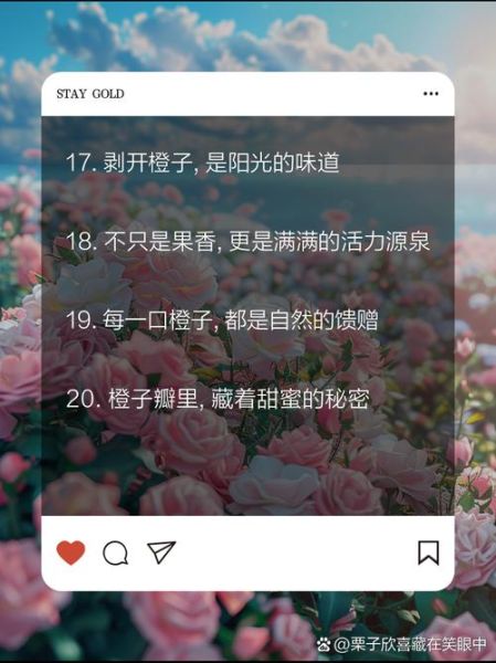 橙子代表什么情感_橙子花语暗示什么