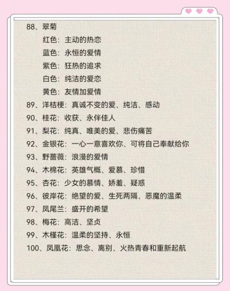 花语大全_花日情感表达技巧
