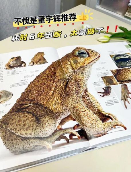 DK博物大百科点读书适合几岁孩子_DK博物大百科点读功能怎么用