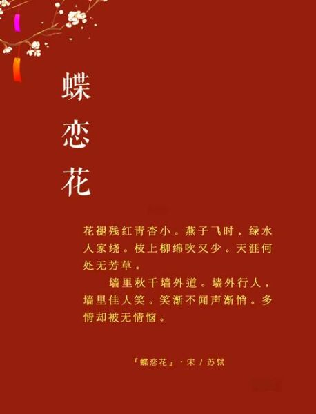 情蝶情感表达是什么_情蝶情感表达怎么用