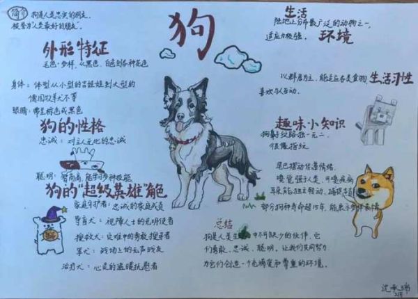 动植物百科大全读书笔记_如何快速掌握动植物分类