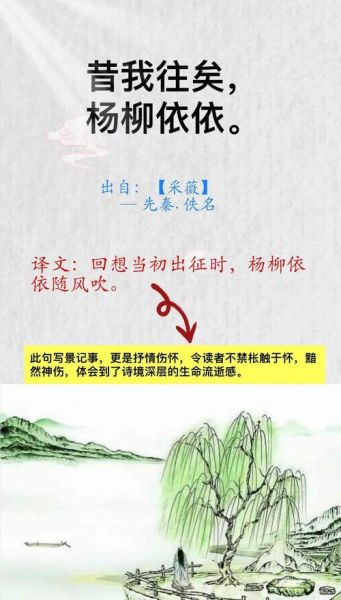 采薇情感表达_如何打动人心