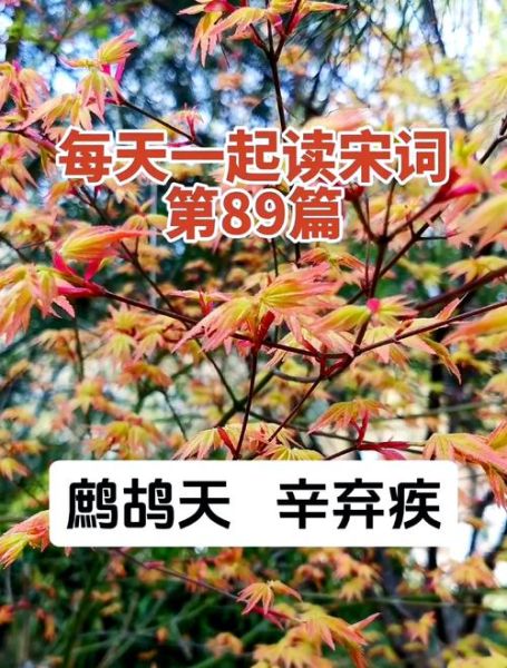 闲居如何表达情感_闲居情感写作技巧