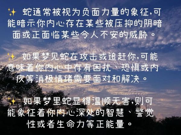 梦见蛇是什么意思_如何缓解焦虑