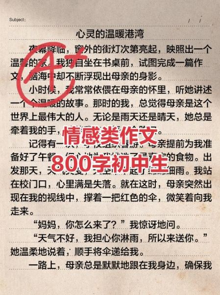 如何用作文表达情感_情感作文怎么写