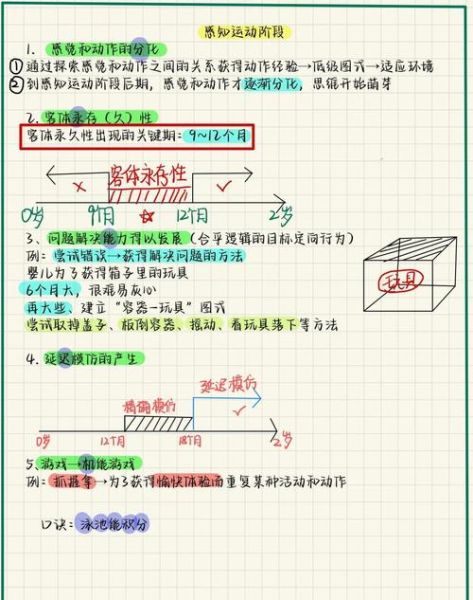 皮亚杰认知发展阶段_如何应用于早教
