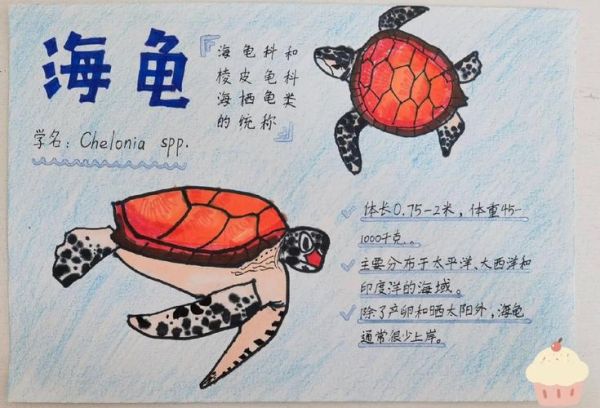 海洋小百科读书卡怎么做_适合小学生的海洋知识卡片
