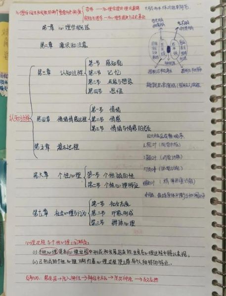 教师考试心理学试题_如何高效备考