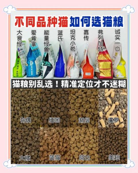 如何挑选优质猫粮_猫粮品牌推荐