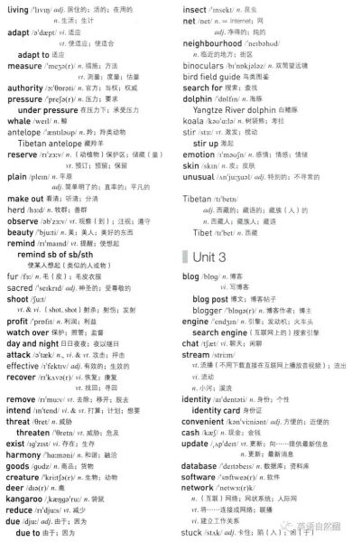 how_to_express_love_in_relationships_when_words_fail