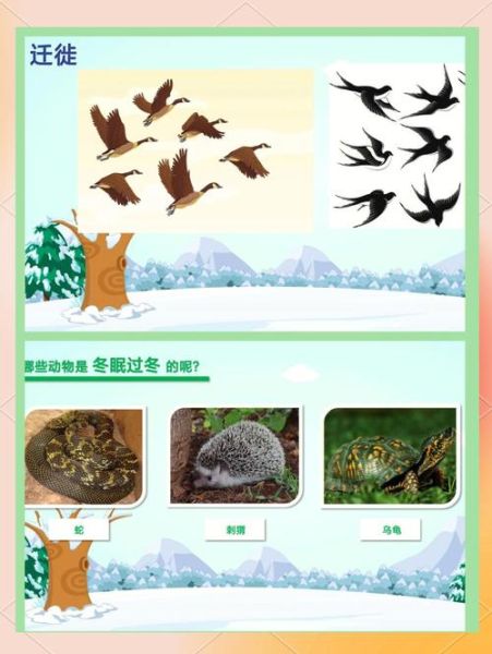 动物冬眠多久_植物如何过冬