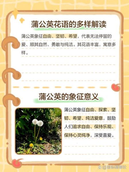 蒲公英的花语是什么_蒲公英的寓意和象征