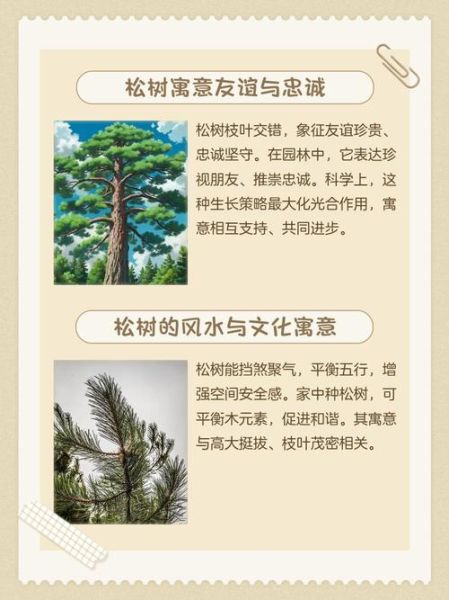 松树象征什么情感_松树代表什么精神