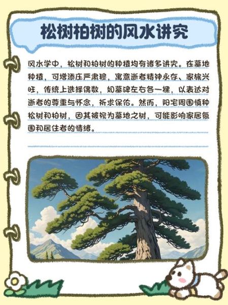 松树象征什么情感_松树代表什么精神