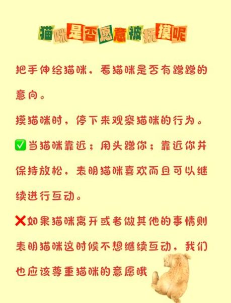如何通过肢体语言判断情绪_怎样用动作表达情感