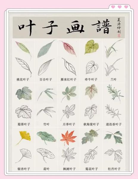 叶子怎么表达情感_叶子情感表达方式